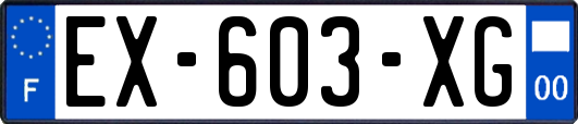 EX-603-XG