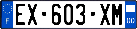 EX-603-XM