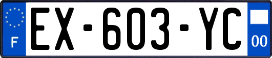 EX-603-YC