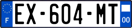 EX-604-MT