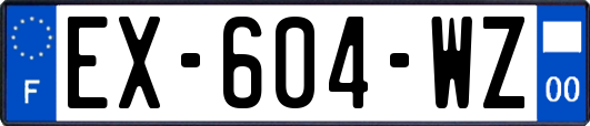 EX-604-WZ