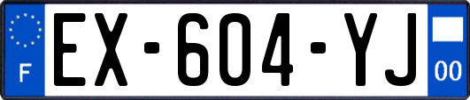 EX-604-YJ