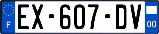 EX-607-DV