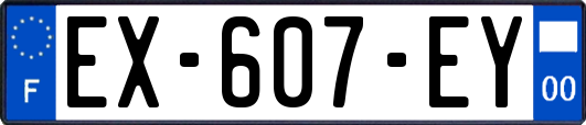 EX-607-EY