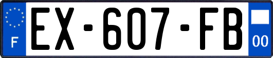 EX-607-FB
