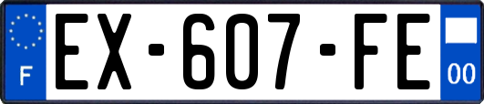 EX-607-FE