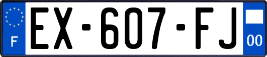 EX-607-FJ