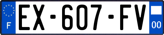 EX-607-FV
