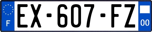 EX-607-FZ