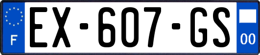 EX-607-GS