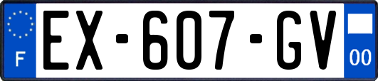 EX-607-GV