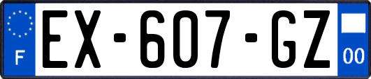 EX-607-GZ