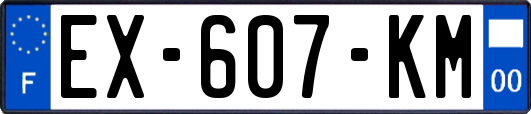 EX-607-KM