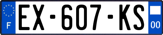 EX-607-KS