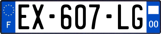 EX-607-LG