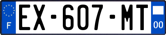 EX-607-MT