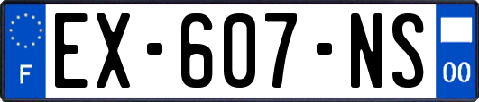 EX-607-NS