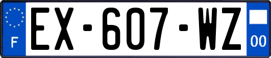 EX-607-WZ
