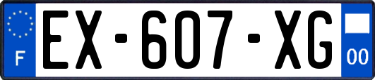 EX-607-XG