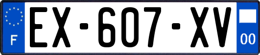 EX-607-XV
