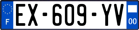 EX-609-YV