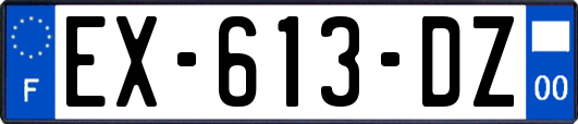 EX-613-DZ