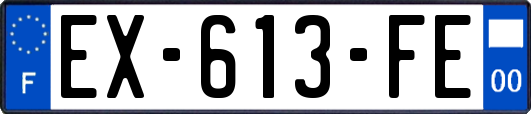 EX-613-FE