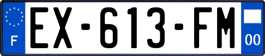 EX-613-FM