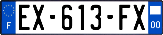 EX-613-FX