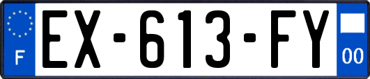 EX-613-FY
