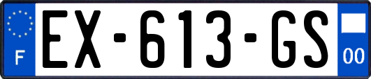 EX-613-GS