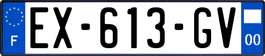 EX-613-GV
