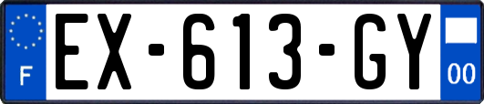 EX-613-GY