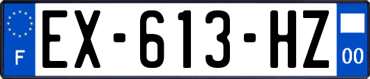 EX-613-HZ