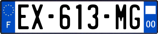 EX-613-MG