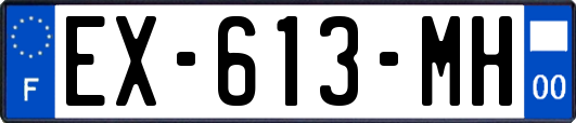 EX-613-MH