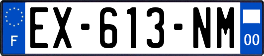 EX-613-NM