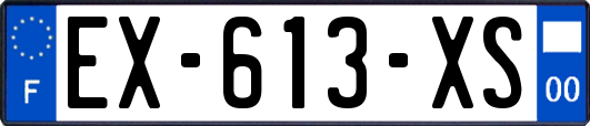 EX-613-XS
