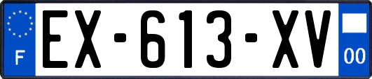 EX-613-XV