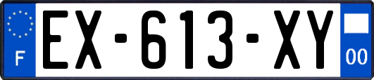 EX-613-XY