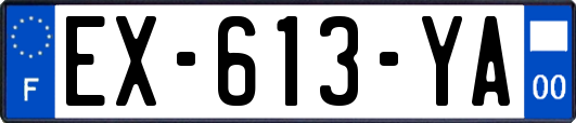 EX-613-YA