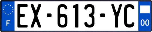 EX-613-YC