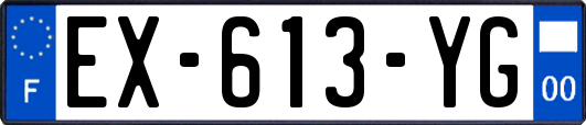 EX-613-YG