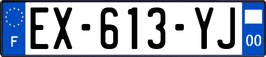 EX-613-YJ