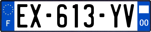 EX-613-YV