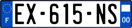 EX-615-NS