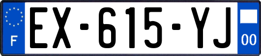 EX-615-YJ