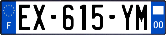 EX-615-YM