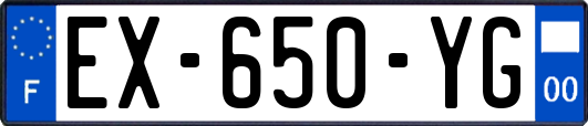 EX-650-YG