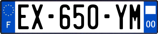 EX-650-YM